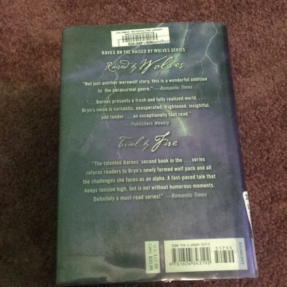 ‘taken by storm’ by jennifer lynn barnes - Picture 3 of 4